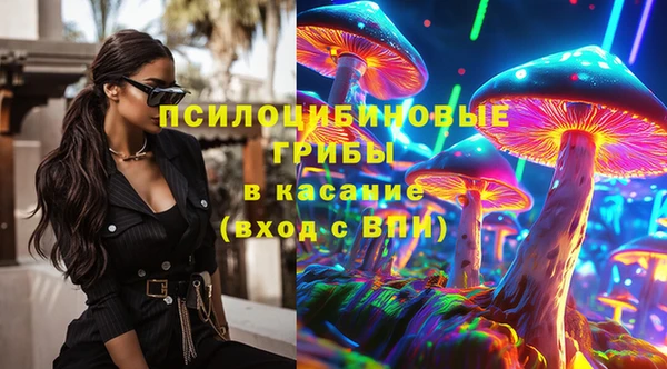 индика Приозерск