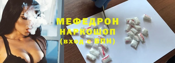 индика Приозерск