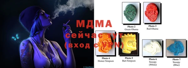 индика Приозерск