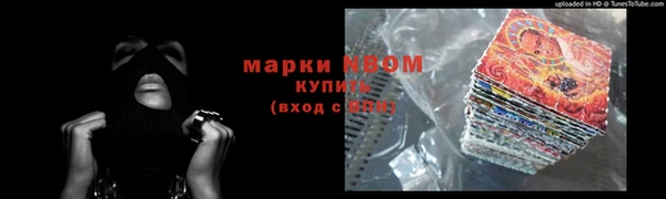 индика Приозерск