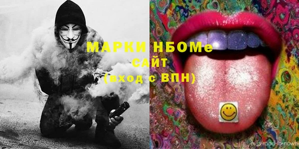 индика Приозерск