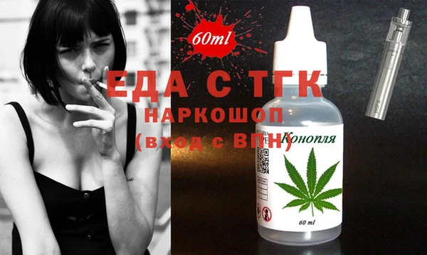 индика Приозерск