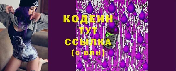 индика Приозерск