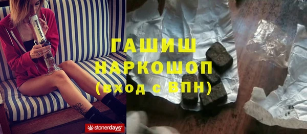 индика Приозерск