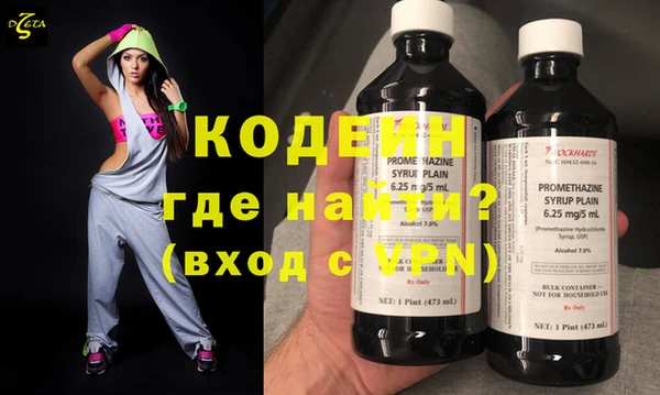 индика Приозерск