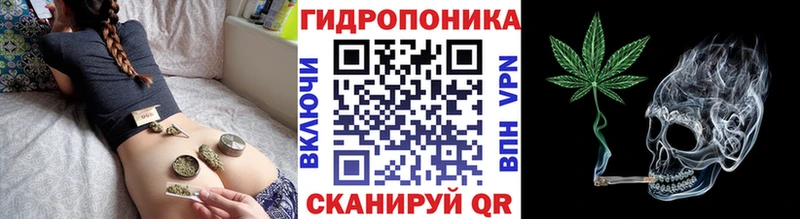 Канабис MAZAR  Купить  Ува 